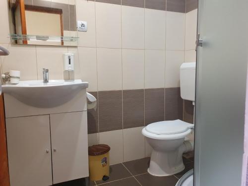a bathroom with a sink and a toilet at PENSIUNEA LEIA Transfăgărășan in Cîrţişoara