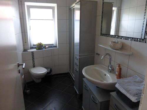 een badkamer met een wastafel, een toilet en een spiegel bij Appartment am Fingerhut in Cloppenburg