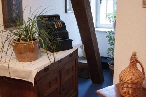 a potted plant on a wooden dresser with a mirror at Gasthof Landhotel Hirsch in Ostrach