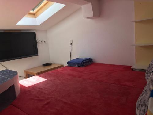 - un salon avec un tapis rouge et une télévision à écran plat dans l'établissement Wörter Marianne, à Sankt Ulrich am Pillersee