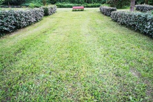 a park bench sitting in the middle of a grass field at Cocon - 2pers - parking - aéroport - MEET in Blagnac