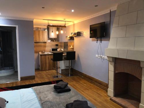 un salon avec une cheminée et une télévision dans l'établissement Studio Chaleureux Blois Centre, à Blois