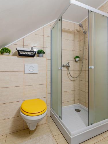 a bathroom with a shower with a yellow toilet at Rose Apartment in Sighişoara