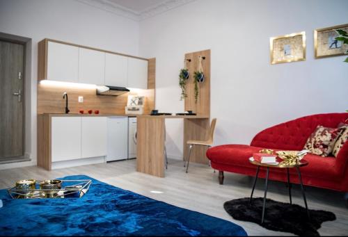 Kuchyňa alebo kuchynka v ubytovaní Apartamenty Centrum