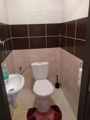 a bathroom with a toilet and a sink at Apartman NAOMI E12 in Nová Lesná