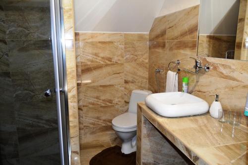 y baño con aseo, lavabo y ducha. en Penzion Alfa Tatry, en Stará Lesná