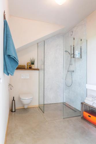 a bathroom with a glass shower with a toilet at De Nieuwe Warande in Tilburg