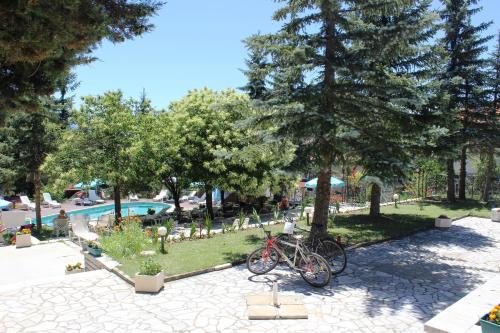 Galeriebild der Unterkunft Hotel Vitalis in Pchelin