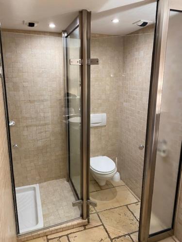a bathroom with a shower and a toilet at Casino Circus d'Allevard in Allevard