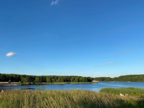 a view of a lake with grass and trees at Family & Business Sauna Apartments No1 Leśny nad Zalewem Cedzyna Unikat - 3 Bedroom with Private Sauna, Bath with Hydromassage, Terrace, Garage, Catering Options in Kielce
