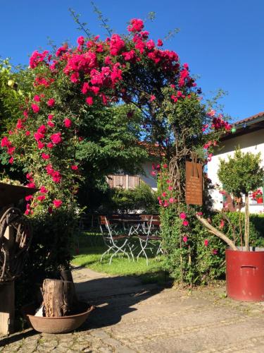 a bunch of pink flowers in a garden at Landgasthof Zum Kirchenwirt in Kellberg
