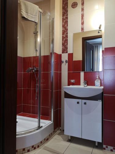 a bathroom with a shower and a sink and a tub at Apartamenty Kostka in Karpacz