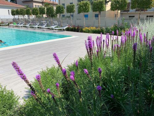 a garden with purple flowers next to a swimming pool at Homingarda - fine holiday apartments in Peschiera del Garda