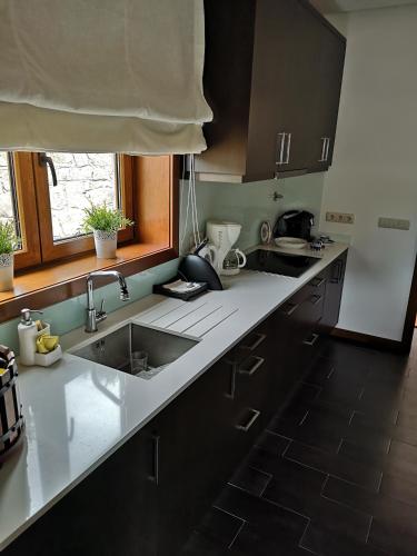 a kitchen with a sink and a counter top at Encosta do Douro - Rio Douro in Cinfães