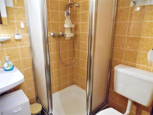 a bathroom with a shower with a toilet and a sink at Gib mir funf! Ferienwohnung in St. Blasien in St. Blasien