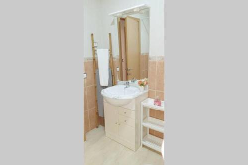 un bagno con lavandino e specchio di Apartamento PEPA. En el corazón del Delta. a Sant Jaume d'Enveja