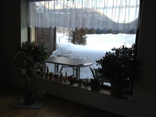 Photo de la galerie de l'établissement Haus zur Therme, à Bad Mitterndorf