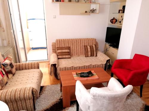 Sala de estar con 2 sofás y mesa en Apartman Nena en Nova Varoš