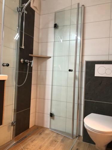 uma casa de banho com um chuveiro e um WC. em Ferienwohnung CeLina em Lienz