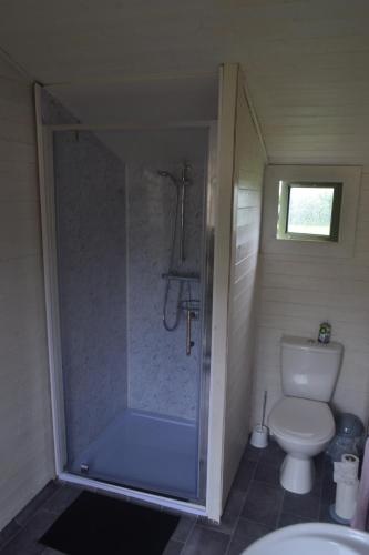a bathroom with a shower with a toilet and a sink at Peaceful Shepherd's Hut next to Horse Field in Morpeth