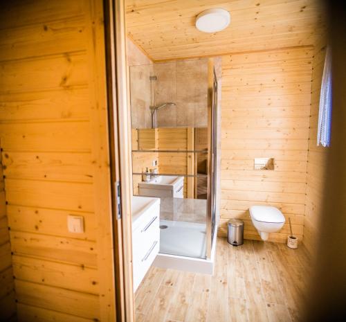 y baño con ducha, aseo y lavamanos. en Kraina Dauby, en Wielowieś