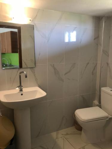 a bathroom with a sink and a toilet and a mirror at Vila Vergina in Pefkochori