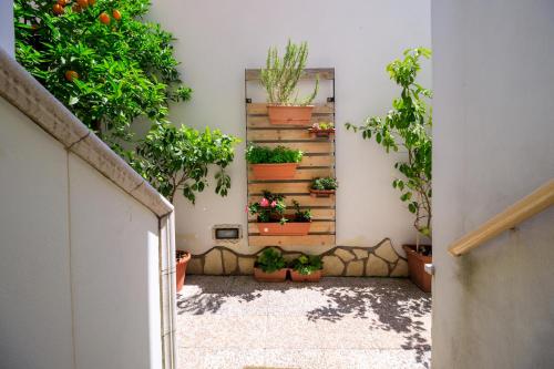 a hallway with potted plants on a wall at V&V Suite & Breakfast in Pompei
