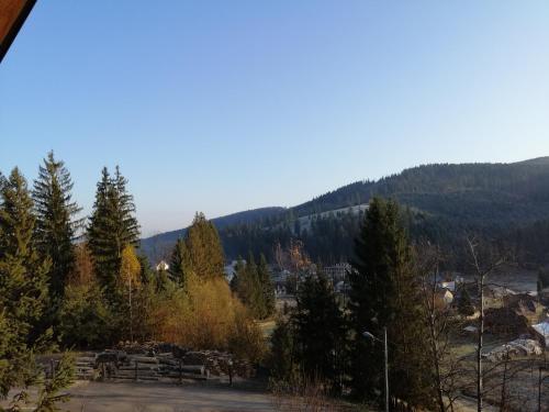 a view of a park with mountains in the background at Casa Verde in Voronet