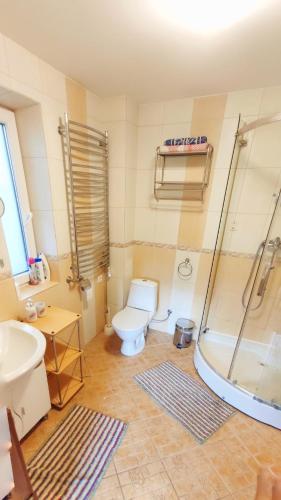 a bathroom with a toilet and a shower and a sink at Viešnagė pas Valentiną in Sužionys