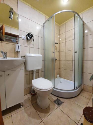 a bathroom with a shower and a toilet and a sink at Pensiunea Leia Cârțișoara in Cârțișoara