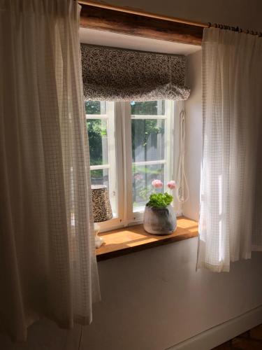 a window with a potted plant on a window sill at Vasatorps Matologi in Helsingborg