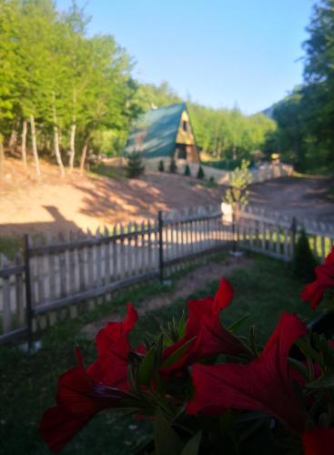 a fence with red flowers in front of a house at Koliba Pčelica 2 in Bijelo Polje