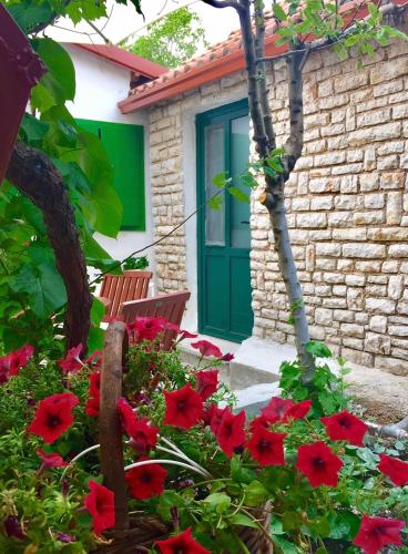 Gallery image of Eco-friendly Estate I in Primošten