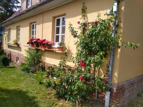 Fotografie z fotogalerie ubytování Ferienwohnung Domäne Süpplingenburg v destinaci Süpplingenburg