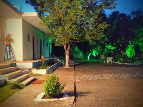 a tree in front of a house with green lights at Filoxenia Apartments in Riza