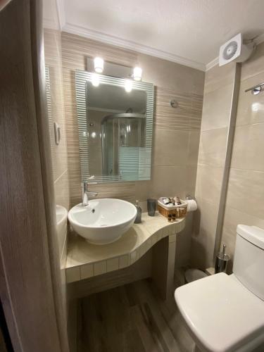 a bathroom with a sink and a toilet and a mirror at Christina Apartments in Fourka