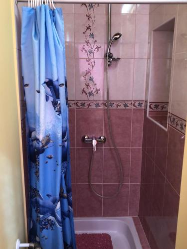 Ένα μπάνιο στο Balatonalmádi Apartmanház