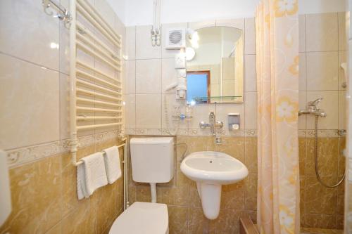 uma casa de banho com um WC, um lavatório e um espelho. em Pana-Eustahije 253 em Kotor
