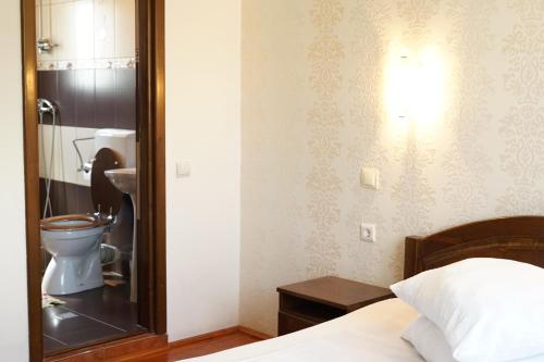 a bedroom with a toilet in the corner of a room at Casa Ciortea Ana in Sibiel