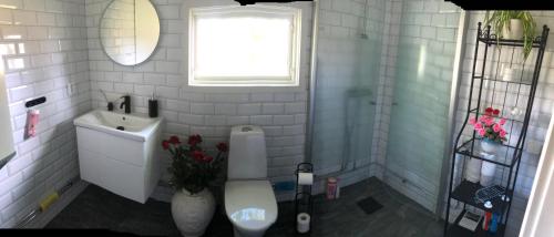 a bathroom with a toilet and a sink and a window at Berget in Skillingaryd