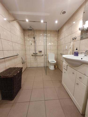 a bathroom with a shower and a toilet and a sink at Chalupa Království in Šluknov