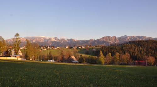 a field of green grass with mountains in the background at Apartamenty Dwupoziomowe Na Dwa Widoki z Jacuzzi & Sauna in Zakopane