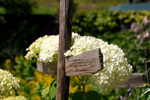 a wooden bench with white flowers on it at Gästehaus Fritz in Mittelberg