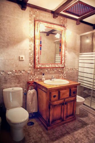 a bathroom with a toilet and a sink and a mirror at Apartamento Turistico Rio Jerte in Navaconcejo