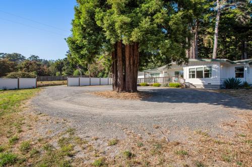 Havens Creek Suites – Photos 3