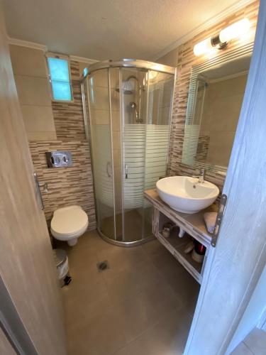 a bathroom with a shower and a toilet and a sink at Christina Apartments in Fourka