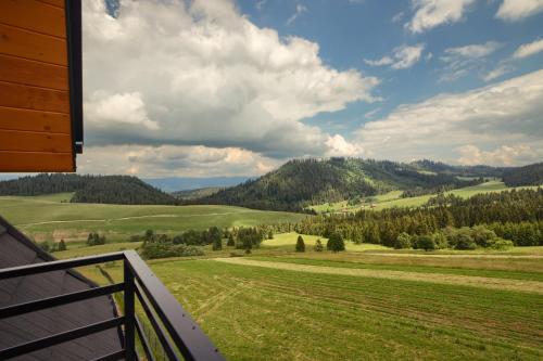 a view from the balcony of a house with a green field at Domki Sówka in Dursztyn