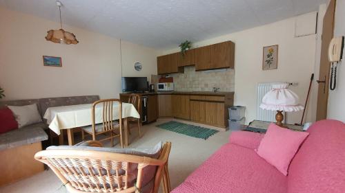 巴特霍夫加施泰因的住宿－Apartmenthaus Erna，一间带粉色沙发的客厅和一间厨房
