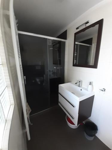 a white bathroom with a shower and a sink at Apartment Adéla in Hluboká nad Vltavou