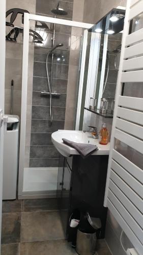 A bathroom at Garden and beach sea view apartment Cannes